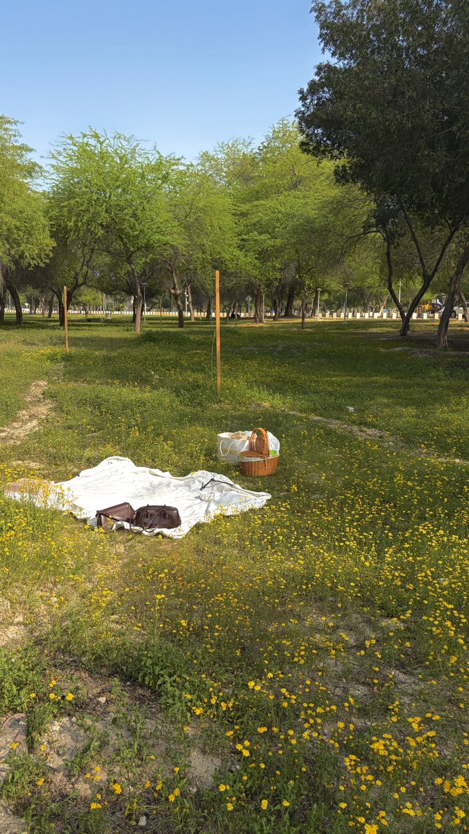 ‏قشطهَ tweet media