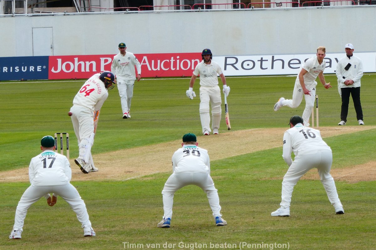 Harry Butler Daft 💚💛🏹🏏 tweet media