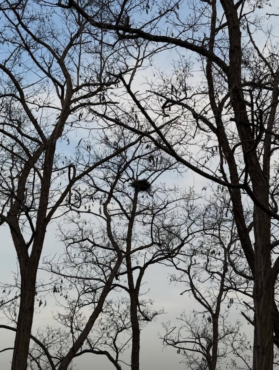 NexT1DEINTLFD's tweet image. 04/12/26 Omar 🦖 IG Update (1/3)

🪺
🔗:instagram.com/p/DXBqRV2gZjR/…

#NexT1DE #NT1 #OMAR #TangOmar #tOmar #NexT1DE_OMAR