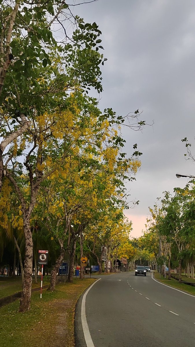 WILLIAM 小新 tweet media