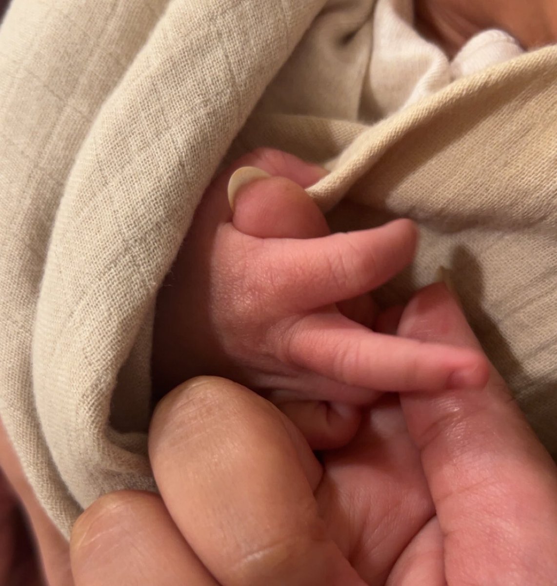 A 🐈⬛ tweet media