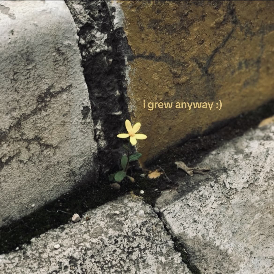 rain ☆ *. * · tweet media