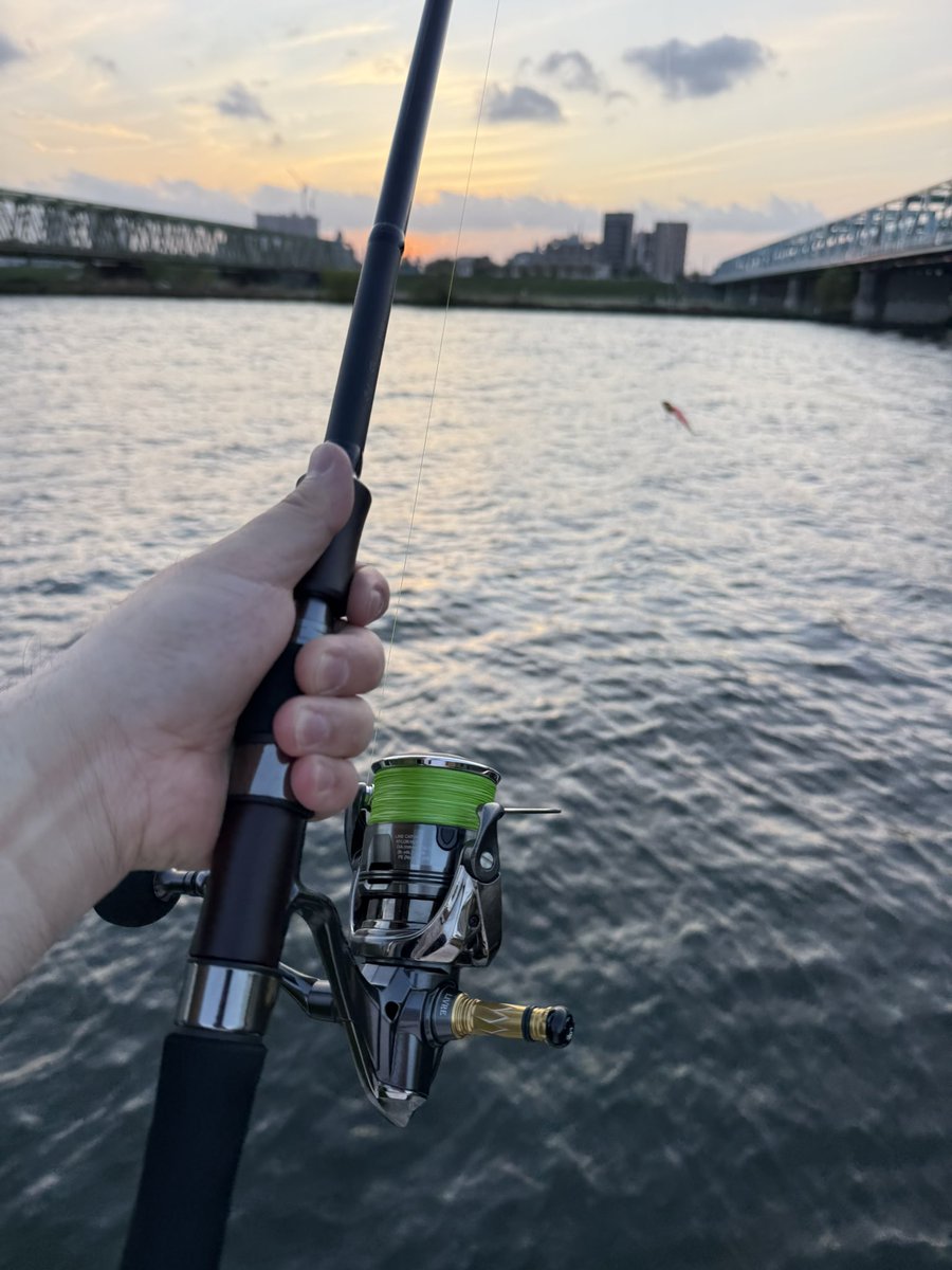 まーしー tweet media