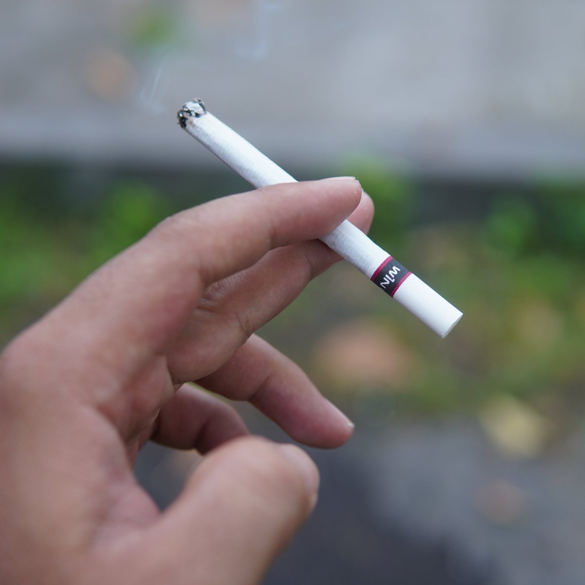 Rokok Indonesia tweet media