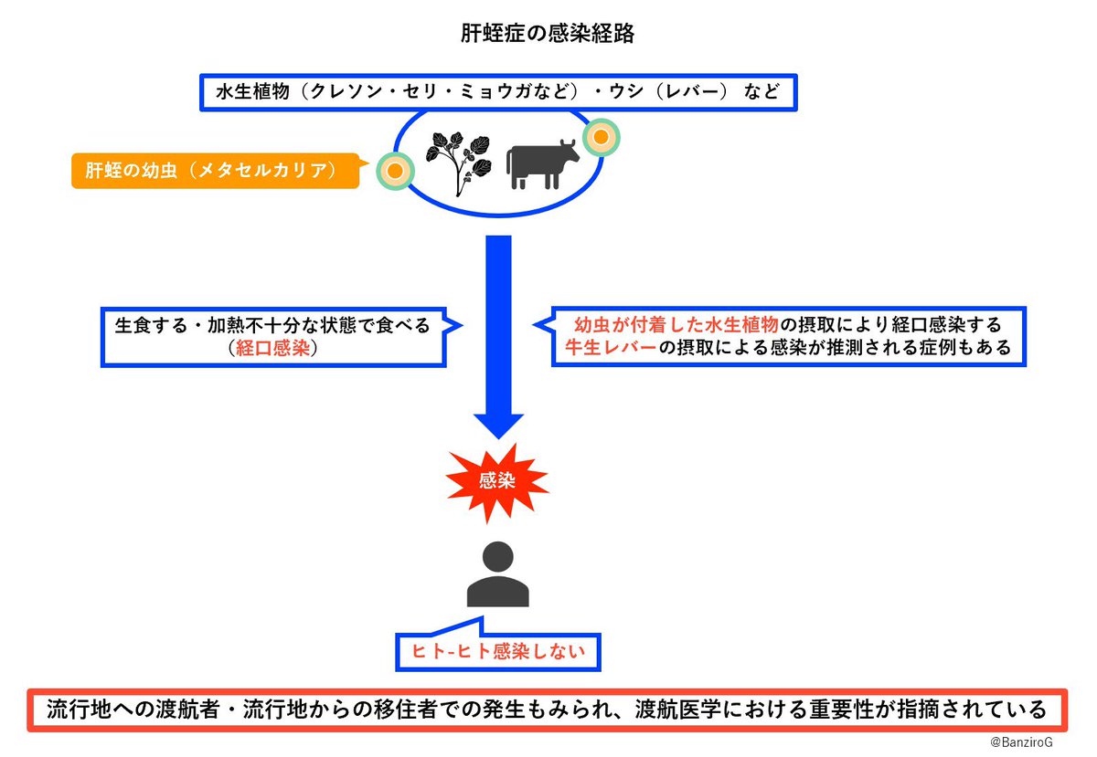 🍹グァバちゃん tweet media