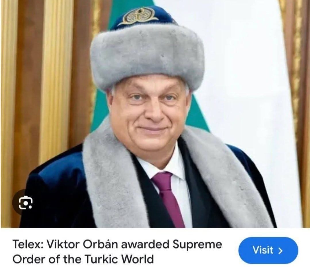 AmelieFrei🇬🇷🇩🇪🇸🇪 tweet media