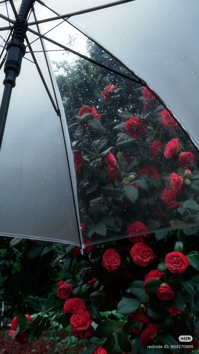 𝙽𝚘𝚊. tweet media