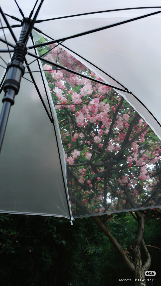 𝙽𝚘𝚊. tweet media