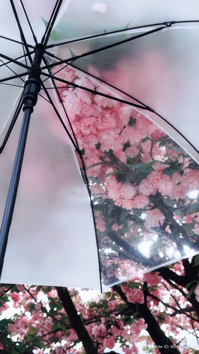 𝙽𝚘𝚊. tweet media