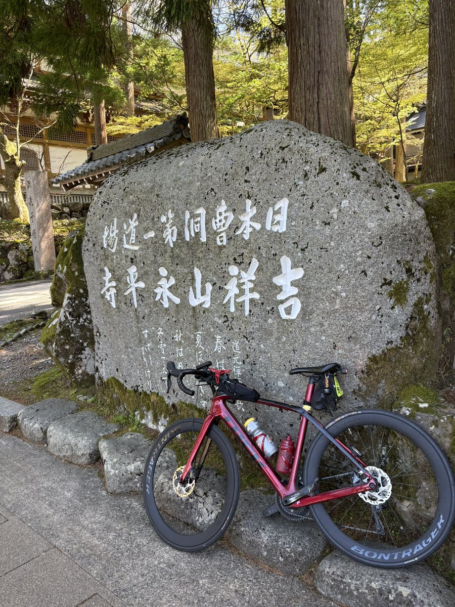 mikoお兄さん tweet media