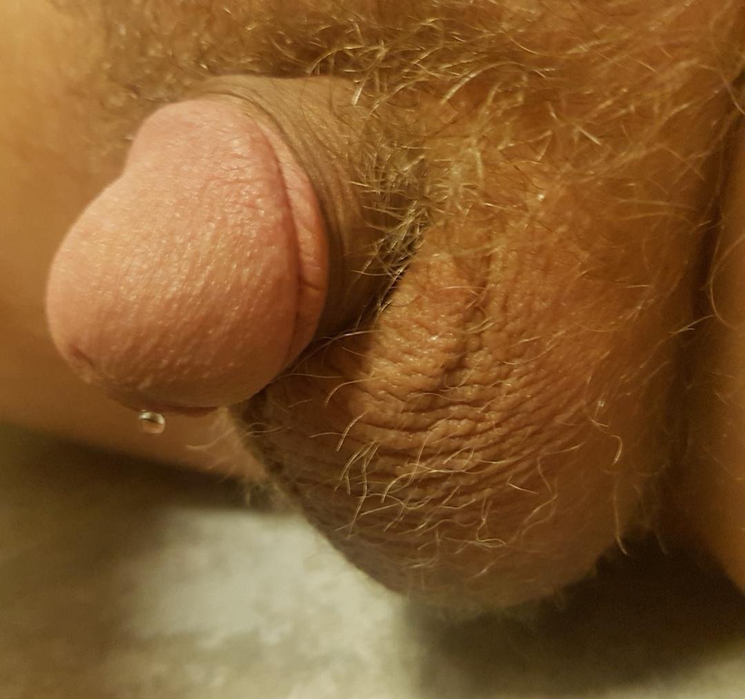 Makkevac's tweet photo. It likes being photographed #penis #dick #cock #sph #smallpenis #smallcock #smalldick #tinydick #tinycock #tinypenis https://t.co/bNkGQu3CPS