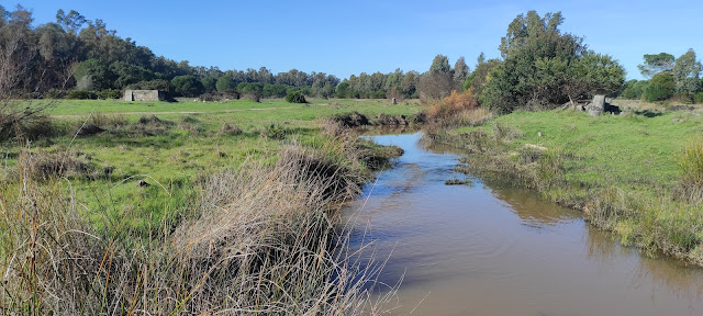 Mazagón Beach tweet media