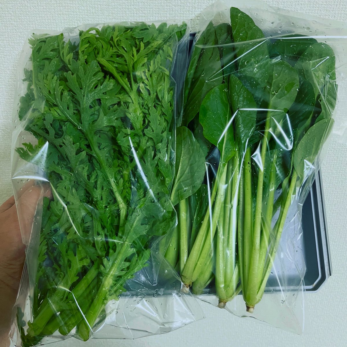 Noriko Tamura/田村のりこ/ライター tweet media