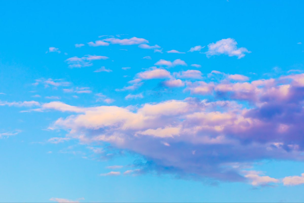 Agar Hawk tweet media