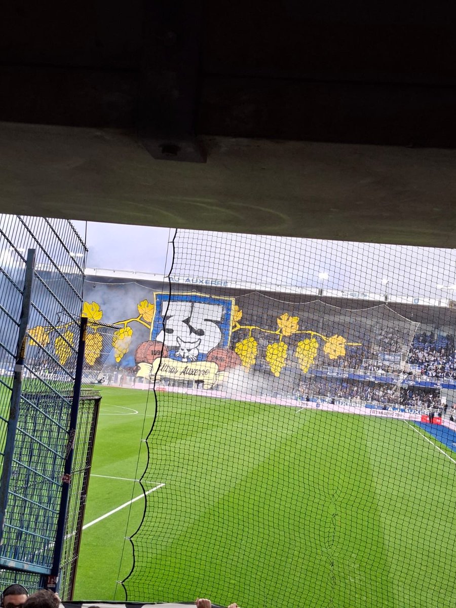L’Esprit Canari tweet media
