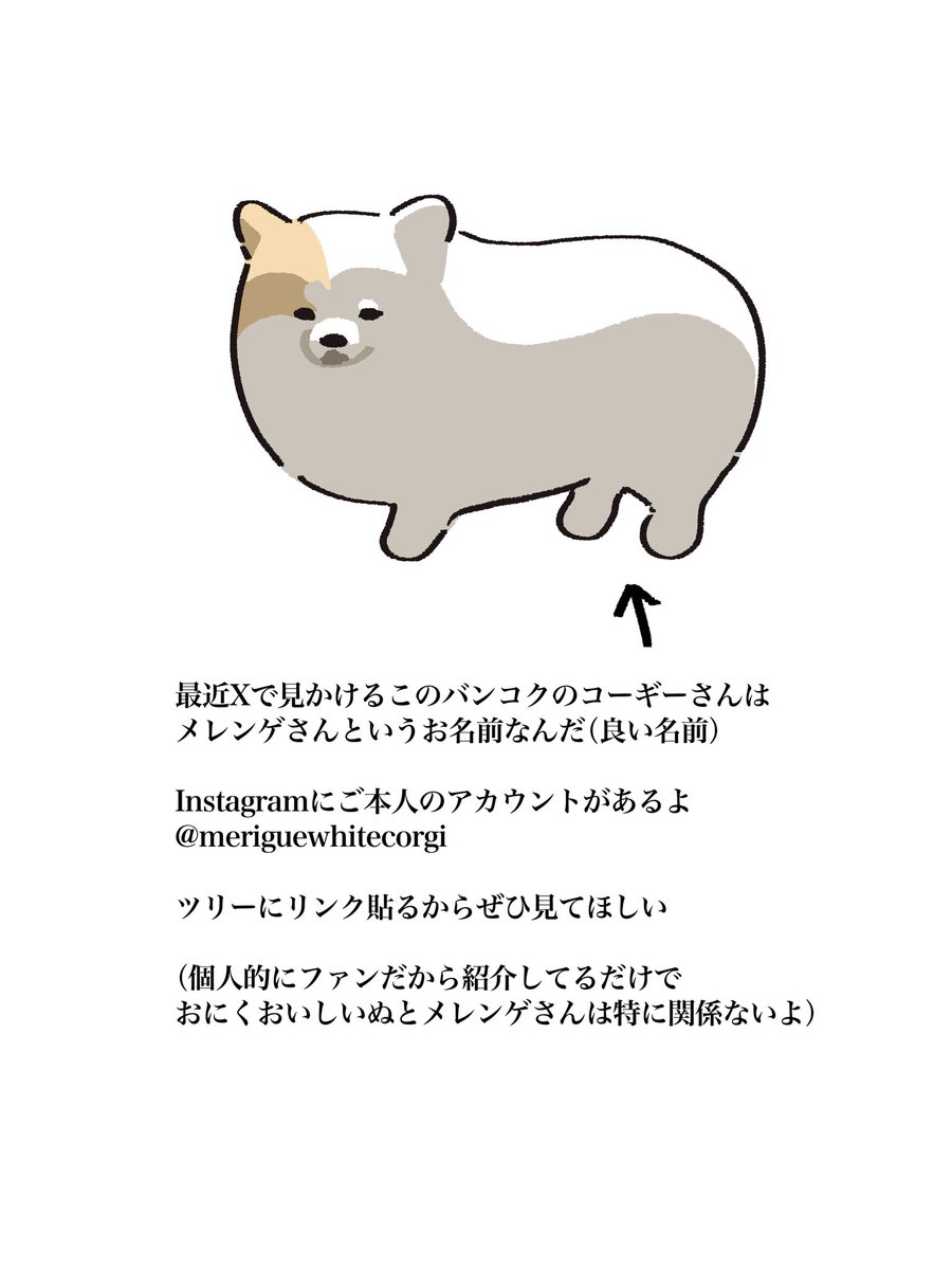 おにくおいしいぬ tweet media