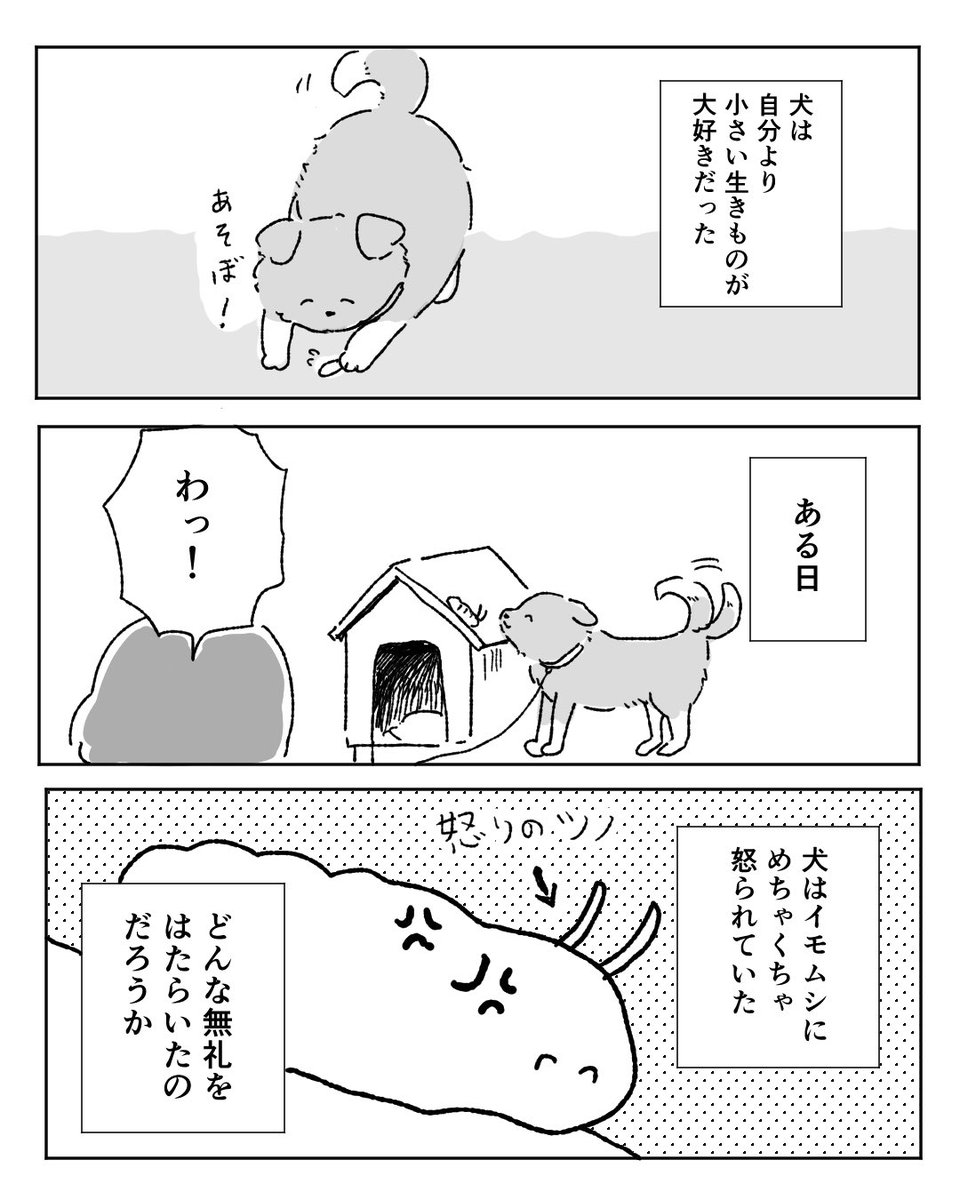 イマイマキ tweet media