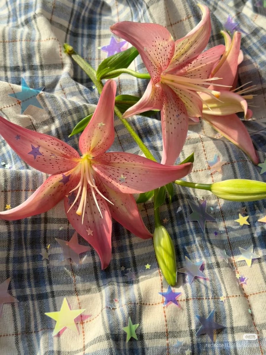 °❀.ೃ࿔* tweet media