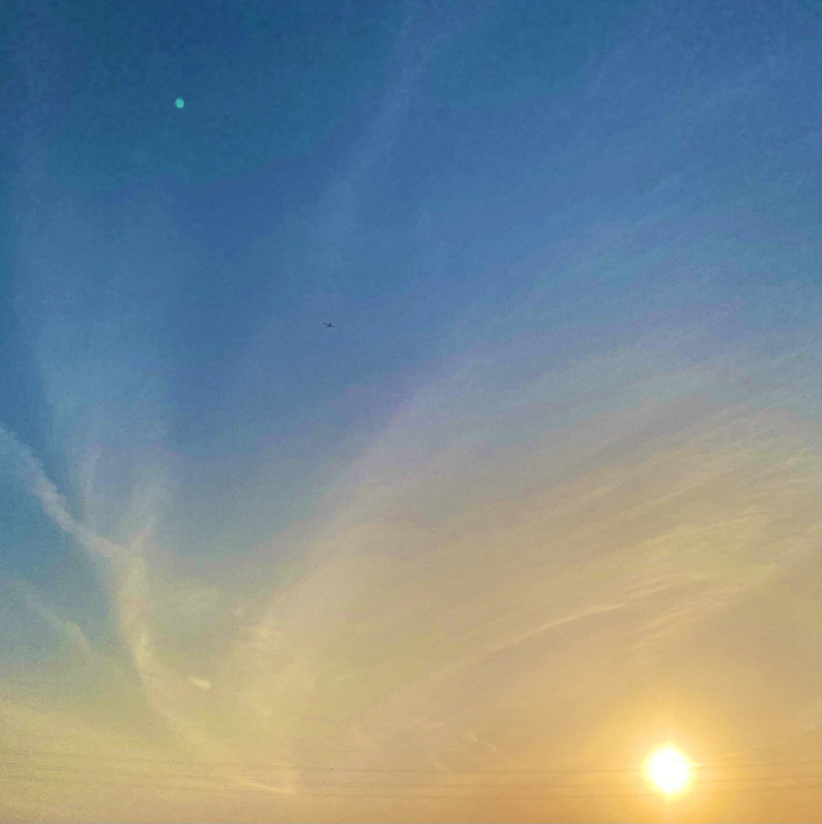 leftyblue tweet media