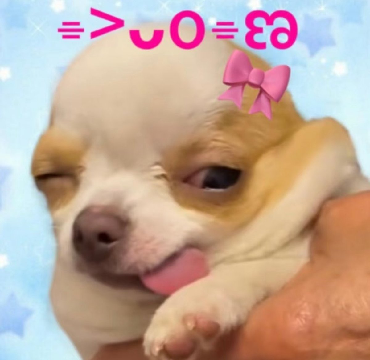 ♡𝓝𝓲 𝓝𝓲 ♡ tweet media