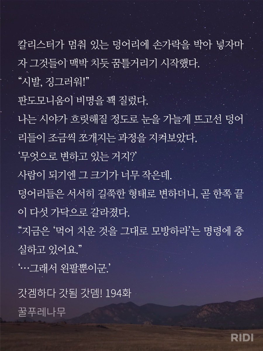 갑자기토끼임 tweet media