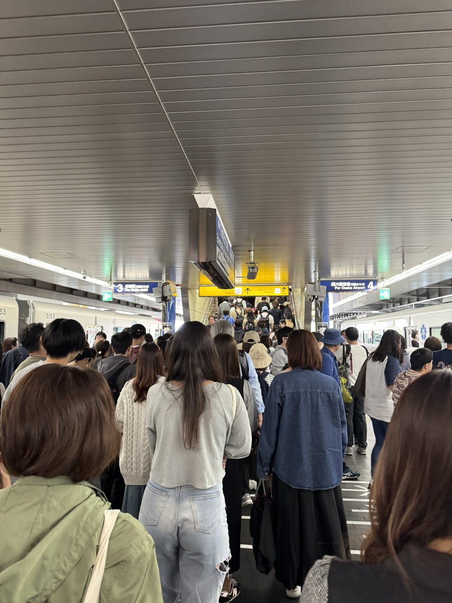 ROOMiE+【ルーミープラス】大阪谷町九丁目 tweet media