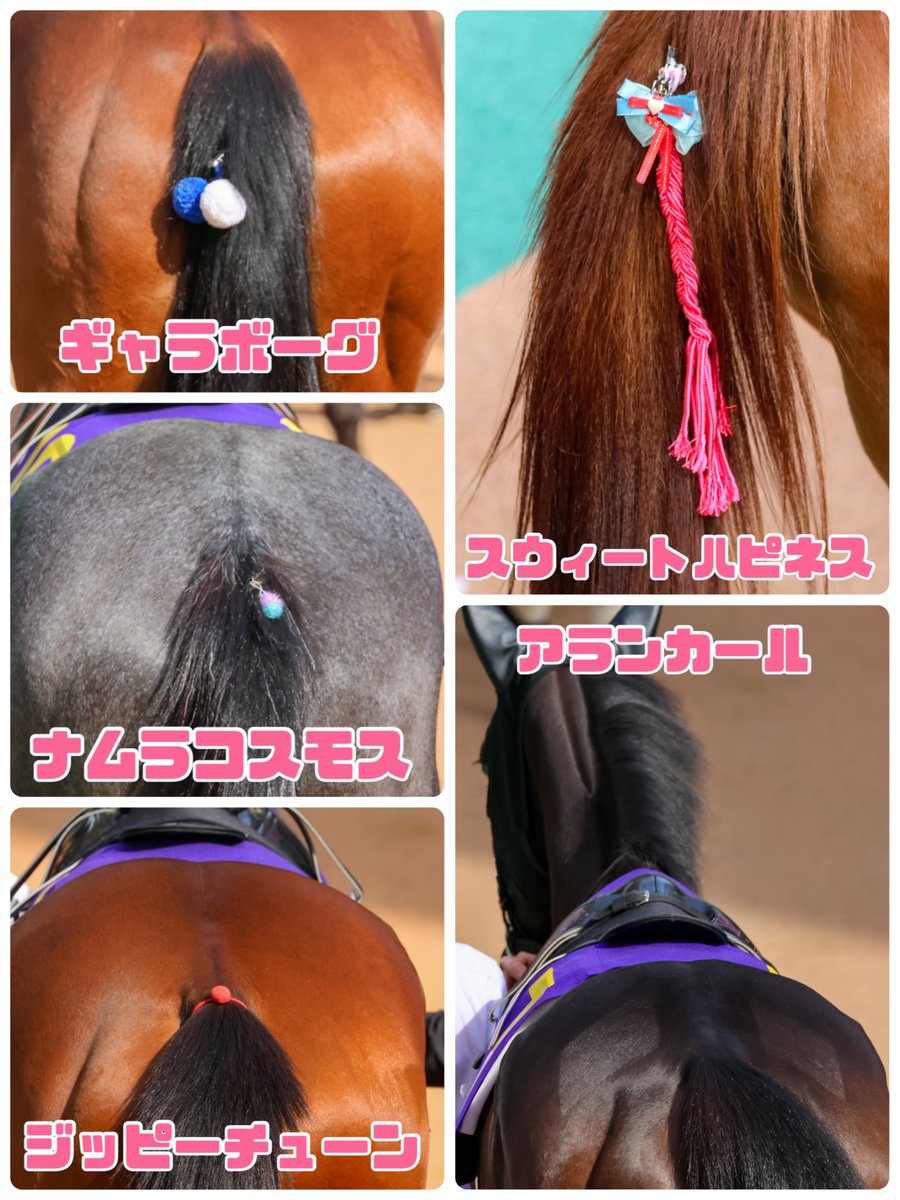 アイスバー tweet media