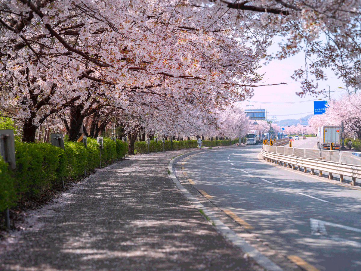 TAN🦅🔜Furst Class tweet media