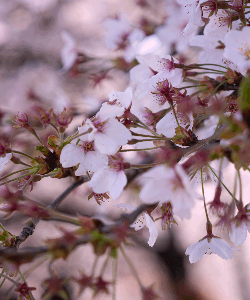 TAN🦅🔜Furst Class tweet media