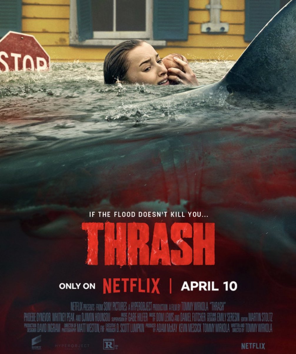 كورت tweet media