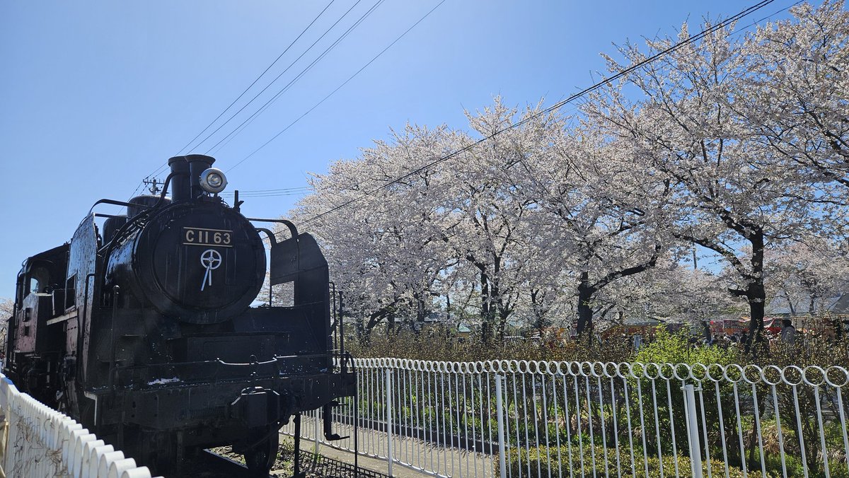 ishihara08151's tweet photo. #喜多方 #日中線しだれ桜並木 #しだれ桜 #SL #ソメイヨシノ #空ネット

行ってきました～🌸
風が強くて躊躇したけど、やっぱり行って良かった！！
SLの隣の公園のソメイヨシノもまだ頑張って咲いてました！
他県からの観光客もいっぱい😊

明日からライトアップです✨ https://t.co/BugURvJeGo