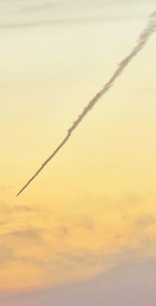 Siiこ❄ tweet media