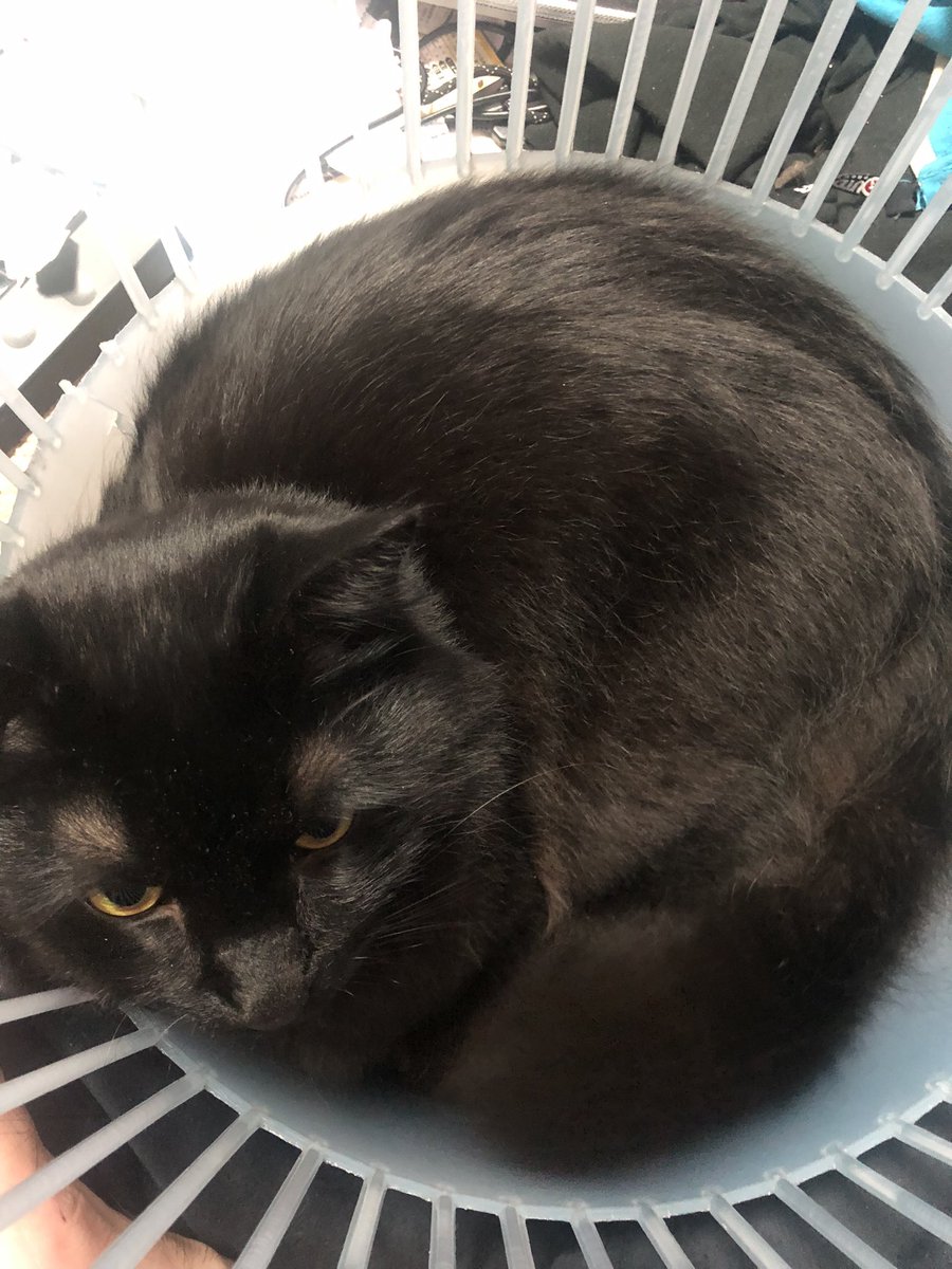 カズたん(ダサTをこよなく愛する男) tweet media