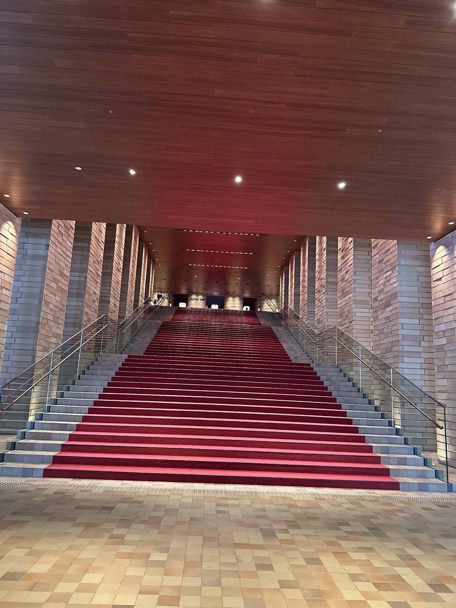 カヨコ🎺🐈 tweet media