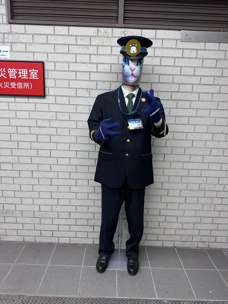 カヨコ🎺🐈 tweet media