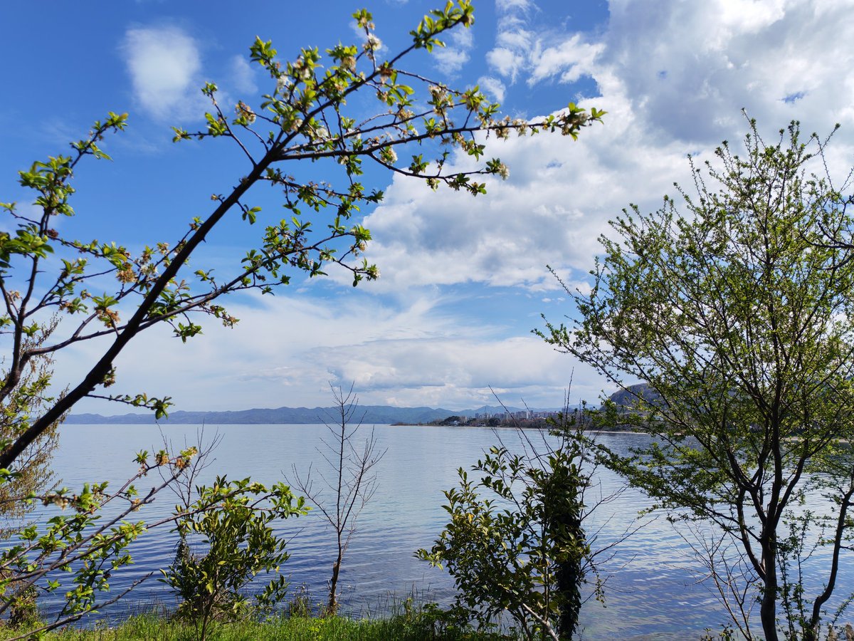 Cihan Aydın tweet media