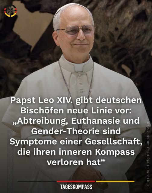 Schonungslos tweet media