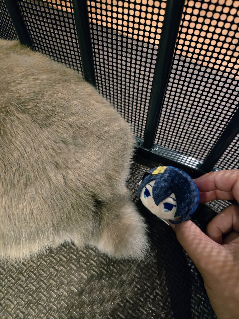 めろん tweet media