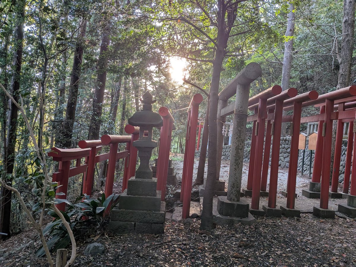 WaiTOMO☂️🪼 tweet media