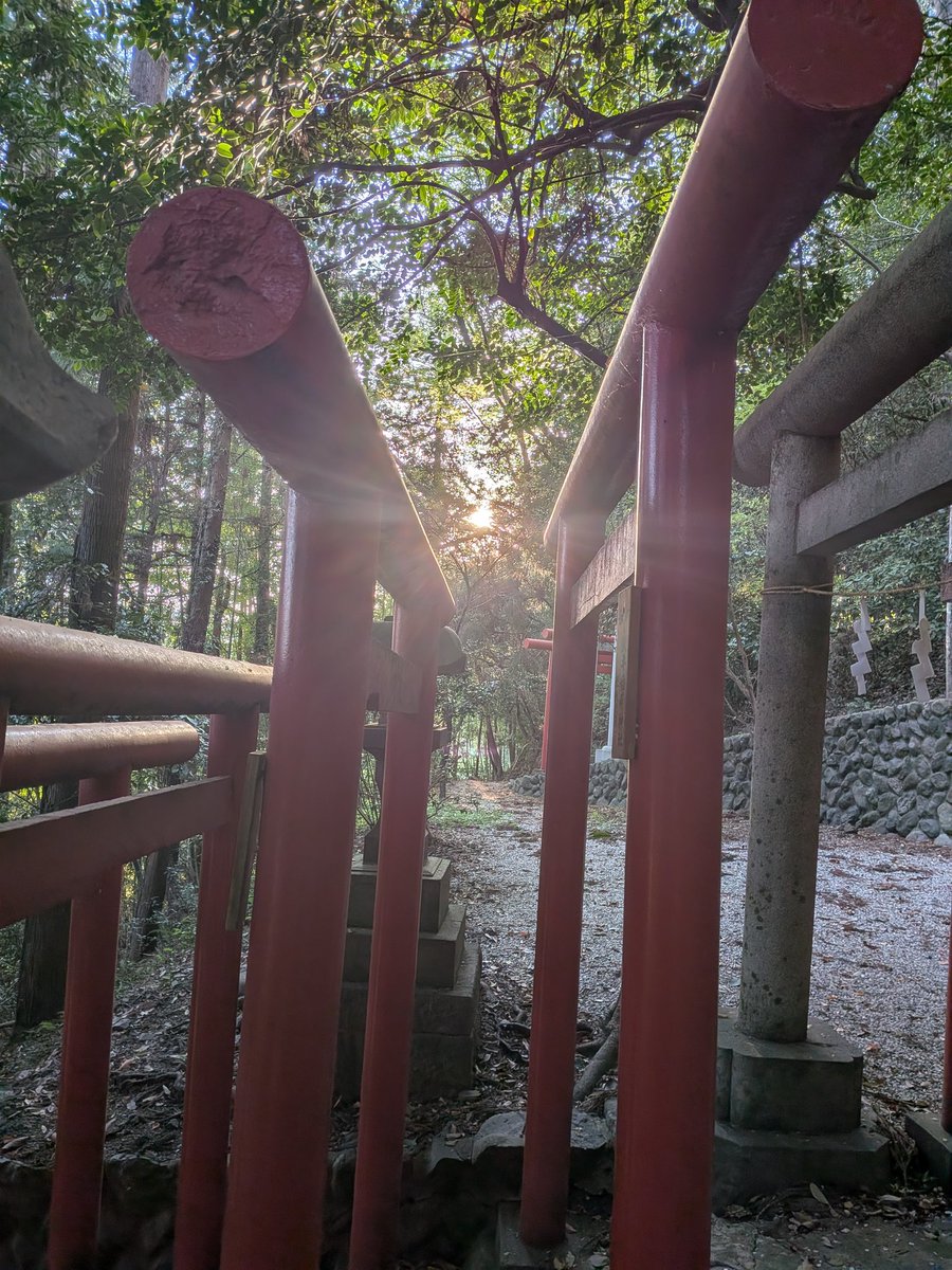 WaiTOMO☂️🪼 tweet media