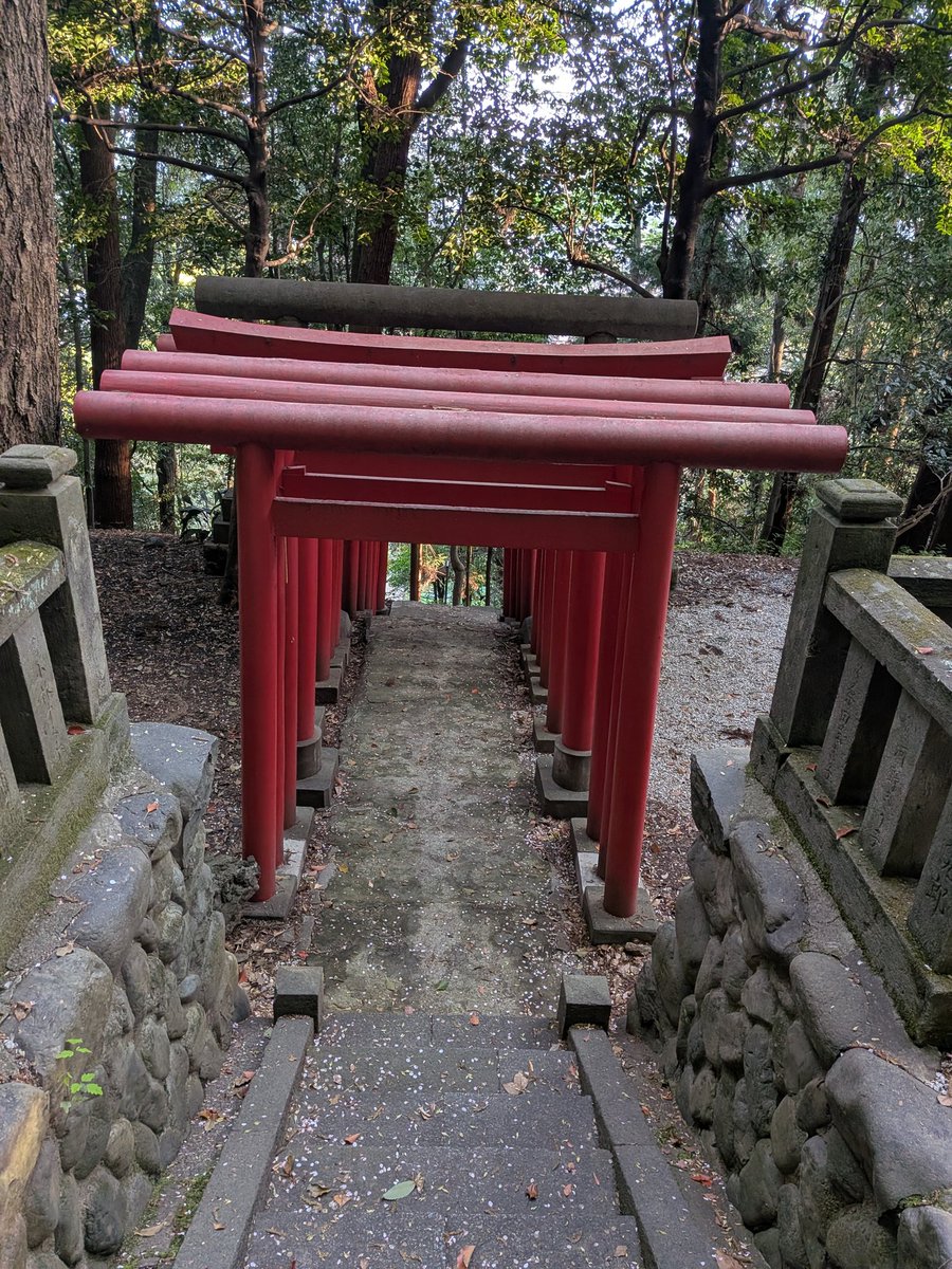 WaiTOMO☂️🪼 tweet media