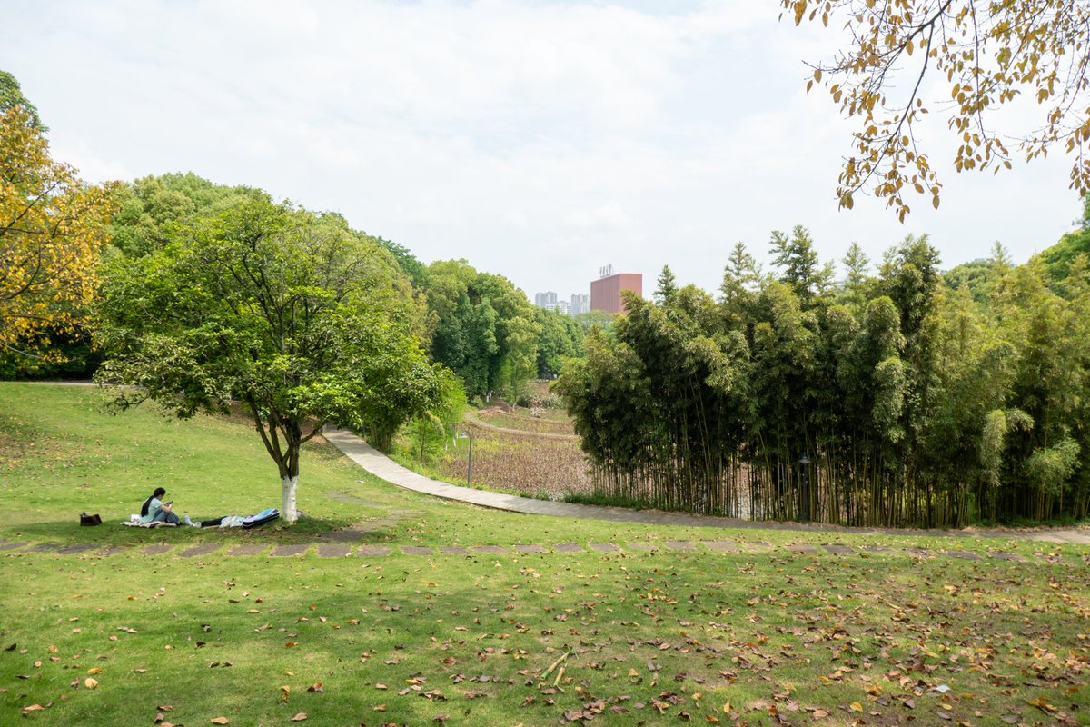 renhongji1990's tweet image. 今天的校园～
#CQU