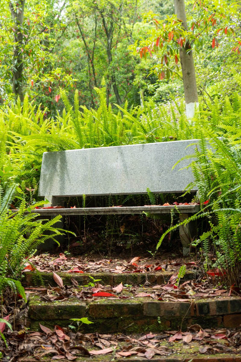 renhongji1990's tweet image. 今天的校园～
#CQU