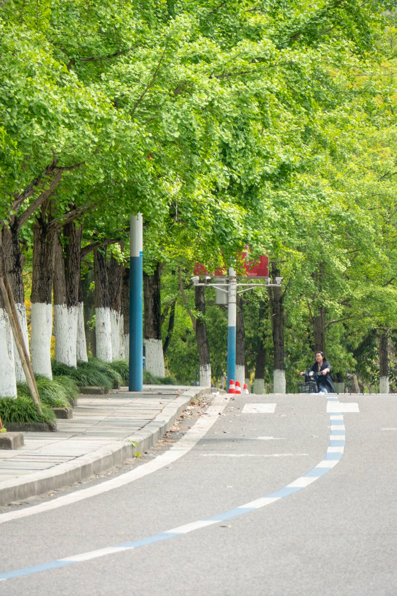 renhongji1990's tweet image. 今天的校园～
#CQU