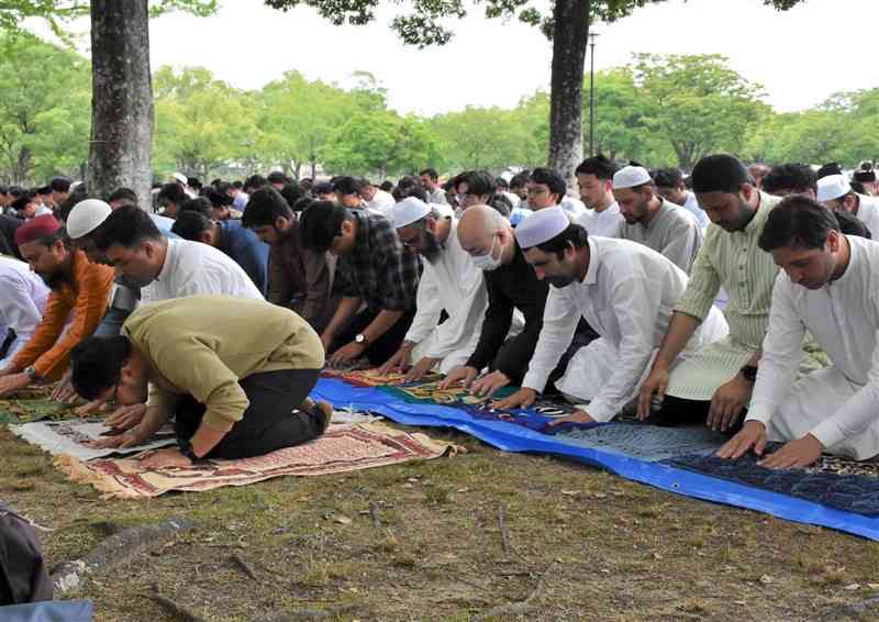 ちゃんほた🌸 tweet media