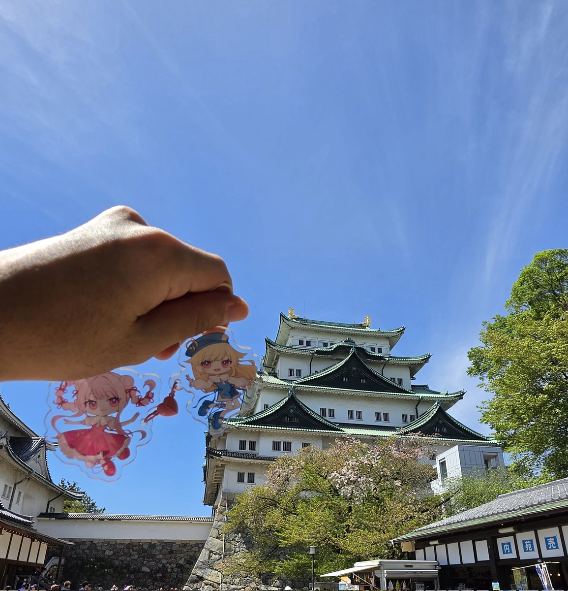 kovaka🥕Tour Seoul tweet media