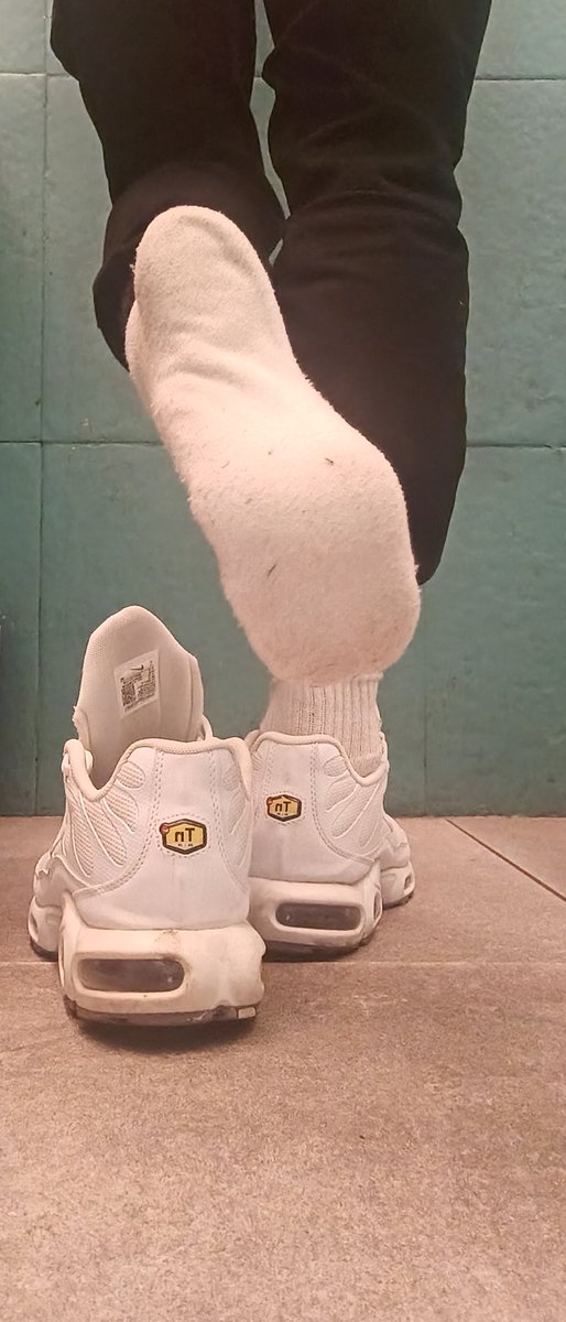 🇮🇹Italian رئيس🇵🇸 tweet media