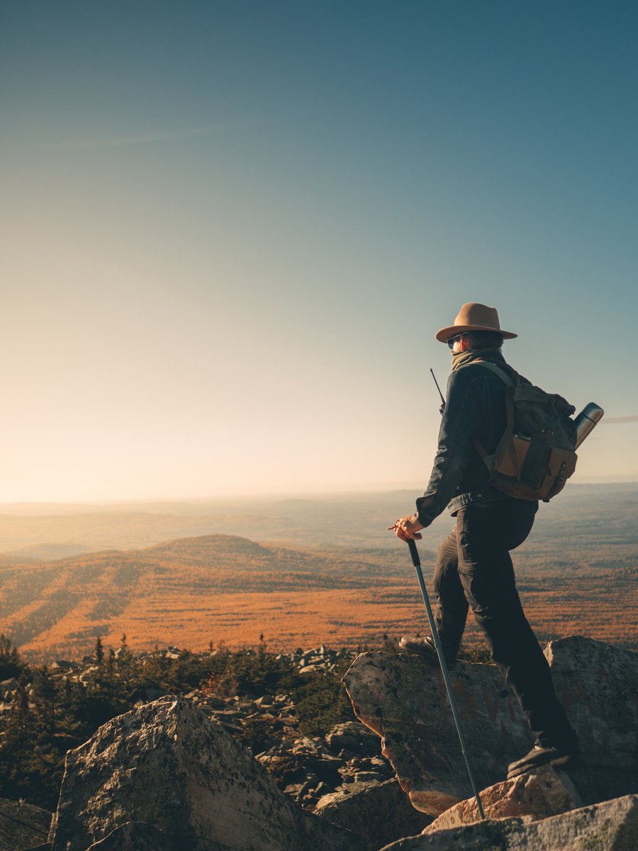 Johnny Rebel tweet media