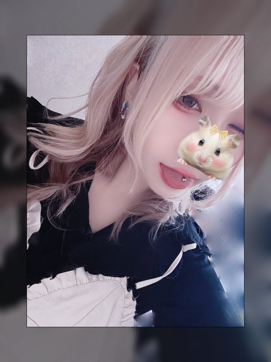 はむ🐹 tweet media