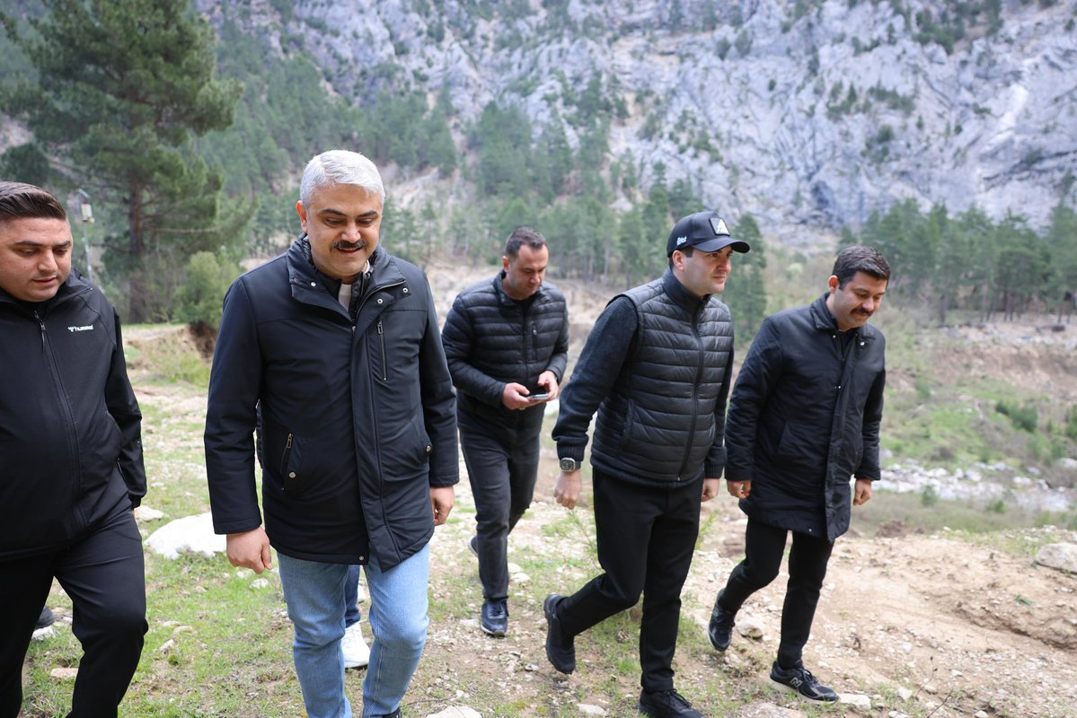 Ali Avan tweet media